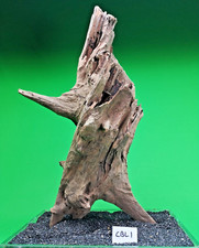Large Corbo Root CBL1 CAVE AQUARIUM Vivarium AQUASCAPING like mopani bogwood