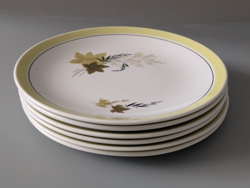 Vintage burleigh ware - 6,