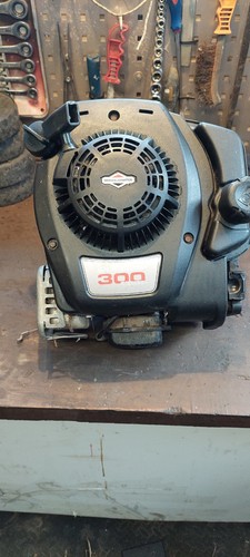 Briggs and stratton 300 - , series