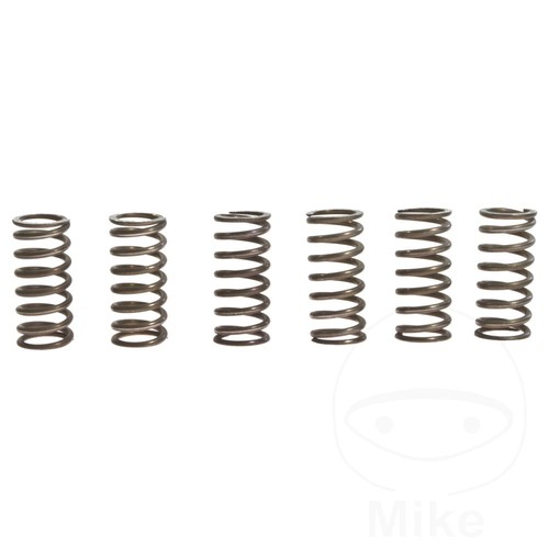 Clutch spring kit - spring,