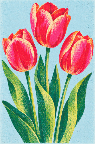 Tulip risograph print red - print,