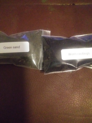 Land hermit crabs - land,