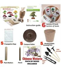 Bonsai Tree kit - Seed Germination Starter Kit with 6 Seed Species to Grow New