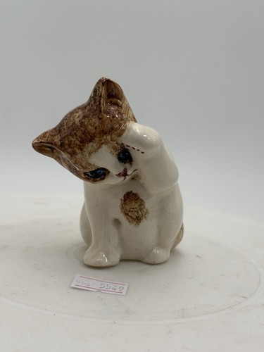 Small ginger and white - small,
