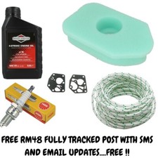 Briggs & Stratton Sprint 375