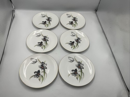 Winterling marktleuthen - winterling,