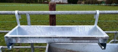 Foot cattle sheep horse - 3,