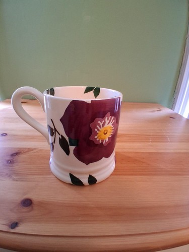 Emma bridgewater mug - mug, pint