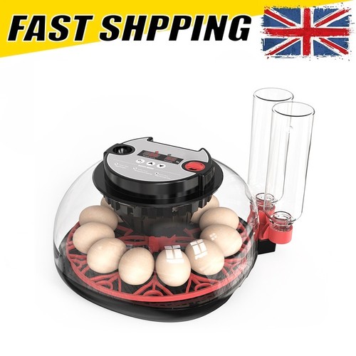 Eggs automatic egg - 12,