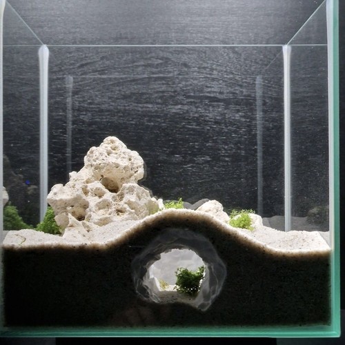 Aquarium undersea tunnel - aquarium,