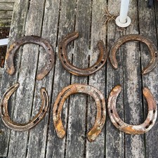 Used Lucky Horseshoe Weddings