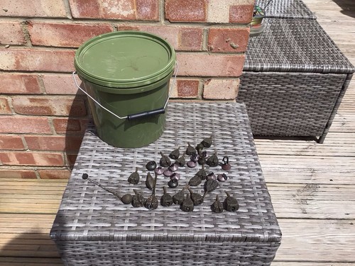 Bait bucket with mostly fox - bucket,