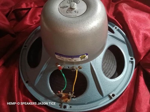 Alnico guitar speaker - 12",