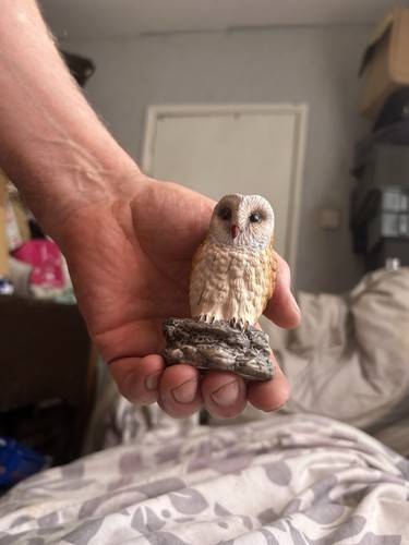 Leonardo collection owl - leonardo,