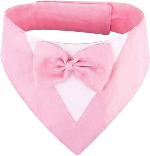 Dog bow tie - dog,