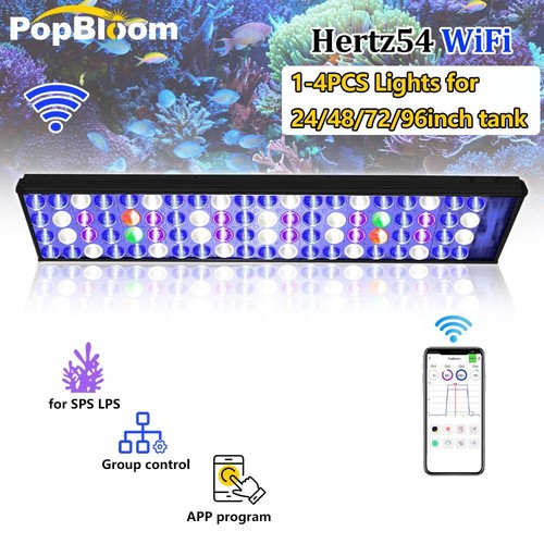 Popbloom 60cm 240cm marine led - marine,