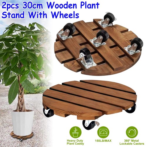 Pack 30cm inch - pack, plant