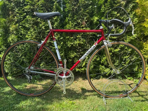 Colnago nuovo mexico - nuovo,
