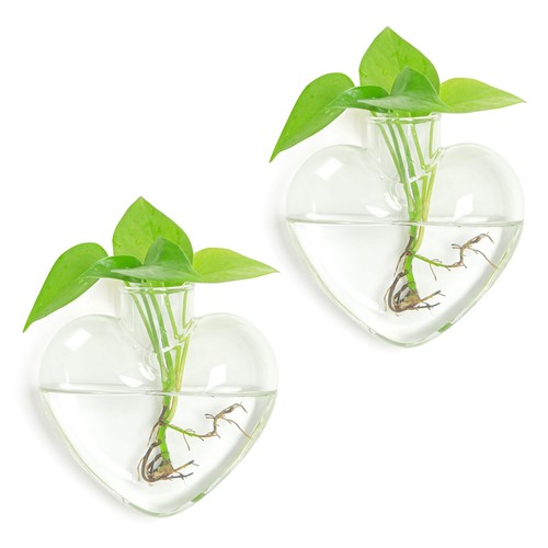 Wall hanging glass - wall,