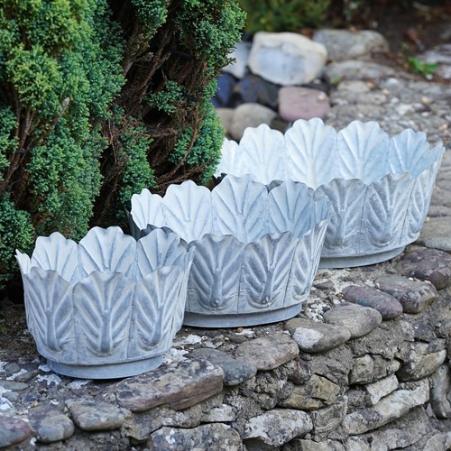 Galvanised metal planter leaf - metal,