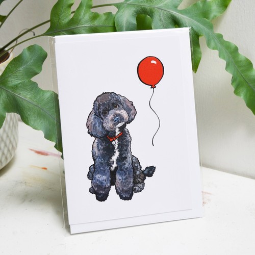 Black toy poodle birthday - poodle,