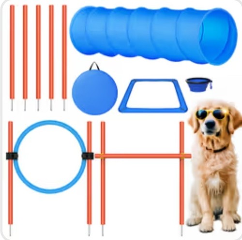 Xben dog agility - dog,