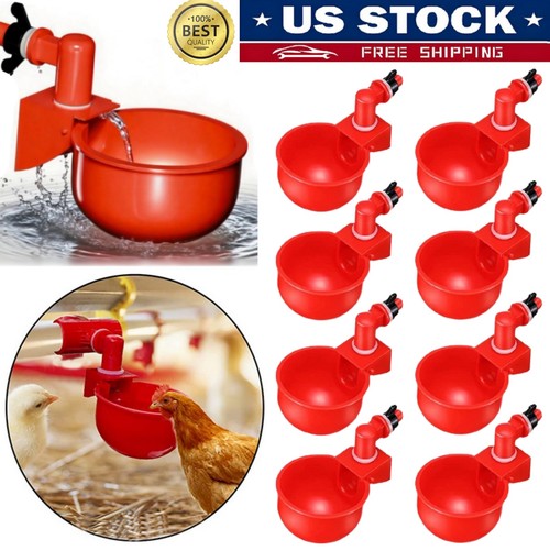 Automatic poultry drinking - automatic,