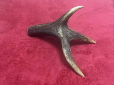 ONE PIECE OF DEER ANTLER
