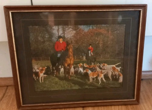 Fox hunting party with hounds - hunting,