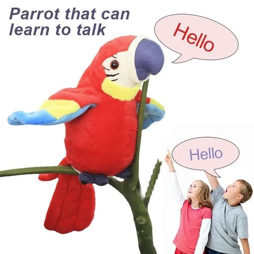 Talking macaw parrot - talking,