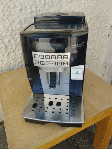 Longhi magnifica s - magnifica,