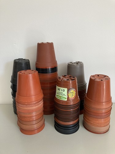 100 used washed - 100,