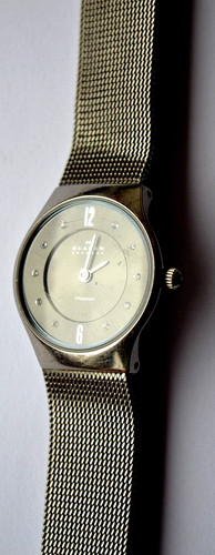 Skagen denmark titanium ladies - skagen,