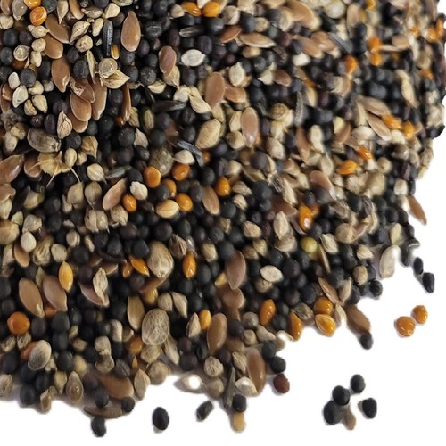 Canary conditioner 350g 1kg - 350g,