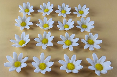 Edible daisy flowers - x,