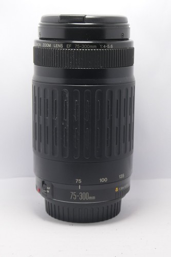 Canon 300mm mki wb - canon,