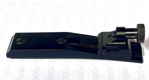 Ruger williams - 10/22,