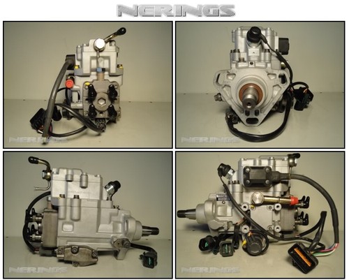 Fuel injection pump - fuel,
