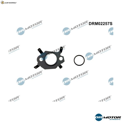 Gasket set egr system - gasket,