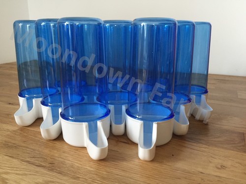 Blue drinker 200cc - drinker, bird