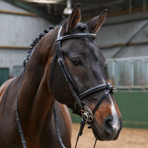 John whitaker eastwood flash - john,