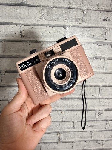 Pink beige retro - beige, lomo
