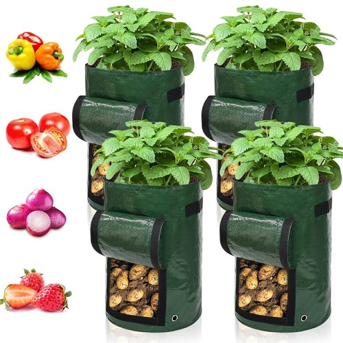 Ram pack gallon potato - pack,
