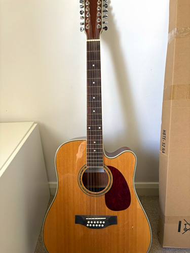 Gear4music string - gear4music, 12-string