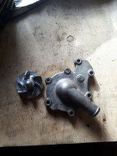 Quadzilla 450 Dinli 901 Water