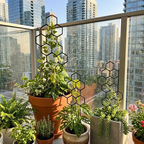 Pack honeycomb plant trellis - honeycomb,