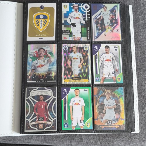 Full binder 167 cards - 167, some