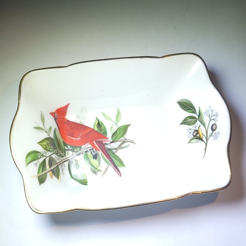 Cardinal royal tuscan - cardinal,