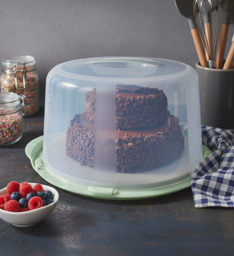 Large plastic cake dome - plastic,