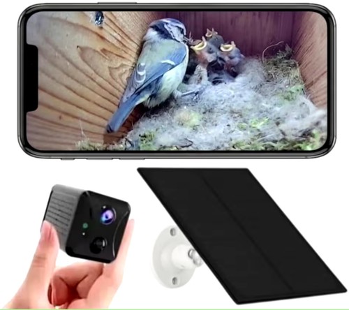 Bird box camera wifi - bird,